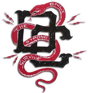 zdjęcie przedstawia dc SWANSON SS