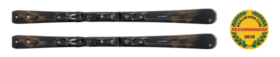 gogle arctica G-105A